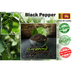 Ceylon Dried Black Pepper 100% Organic Freshly Nature Good Quality Spice
