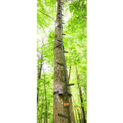 Portable Tree Stand Ladder 20' Long Steel Deer Turkey Hunter Climbing Shooting 