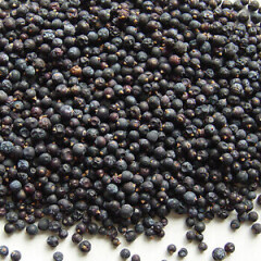 Juniper Berries (Blue) - 1 lb. 16 oz. One Pound Atlantic Spice Company