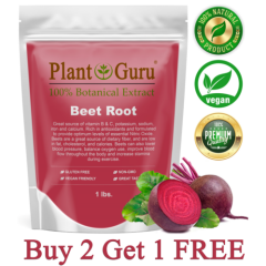 Red Beet Root Powder 1 lb. Beta Vulgaris Non-GMO Nitric Oxide Extract Super Food