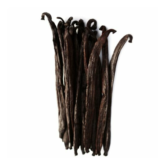 Tahitian Vanilla Beans - Whole Grade B Pods for Baking, Brewing, Extract Making image {9}