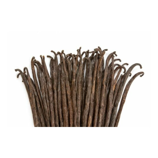 Tahitian Vanilla Beans - Whole Grade B Pods for Baking, Brewing, Extract Making image {7}