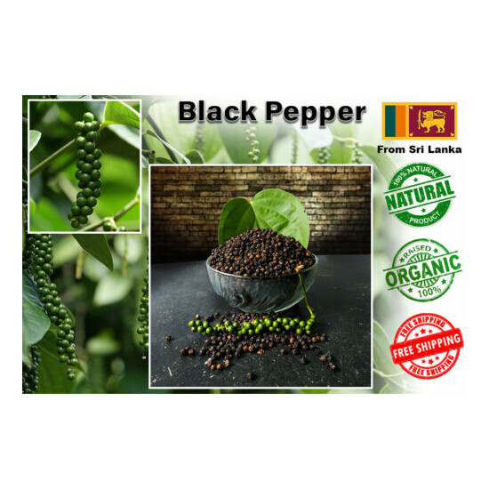 Ceylon Dried Black Pepper 100% Organic Freshly Nature Good Quality Spice image {1}