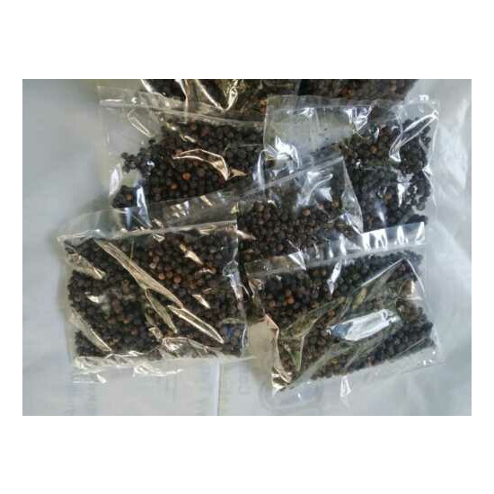 Ceylon Dried Black Pepper 100% Organic Freshly Nature Good Quality Spice image {5}