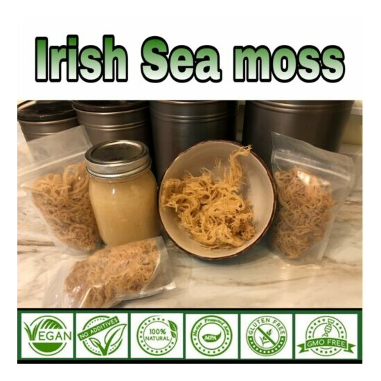 Sea Moss 100% Raw Irish moss WILDCRAFTED #wholesale bulk sea moss raw sea moss image {4}
