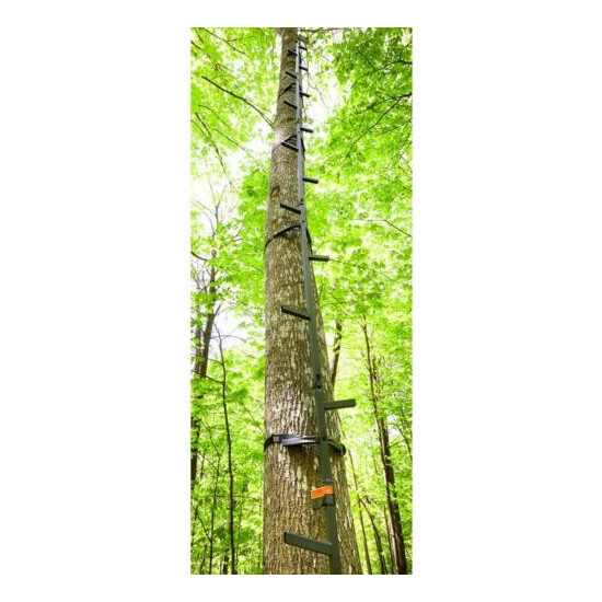 Portable Tree Stand Ladder 20' Long Steel Deer Turkey Hunter Climbing Shooting  image {1}