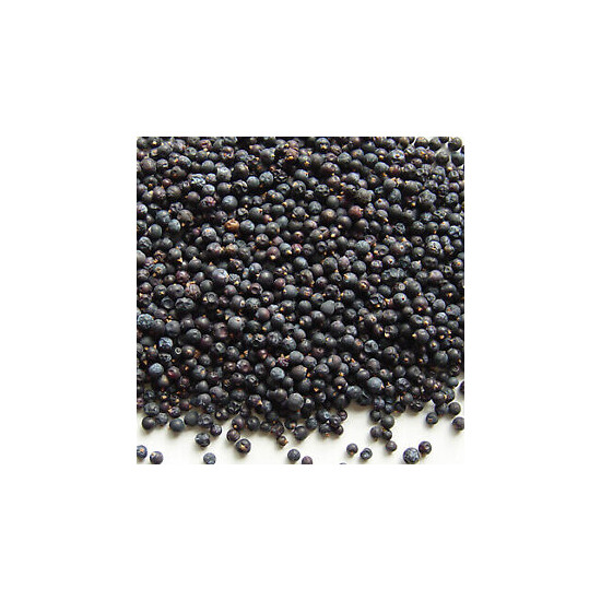 Juniper Berries (Blue) - 1 lb. 16 oz. One Pound Atlantic Spice Company Thumb {1}