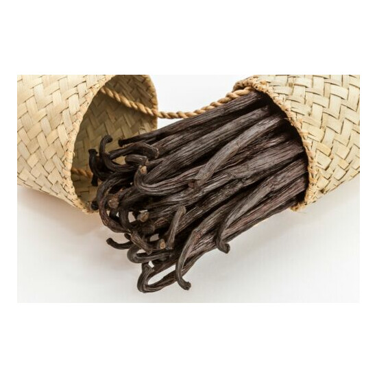 20 Gourmet - Bourbon - Extract Grade A - Vanilla Beans from Madagascar ( 6"+) image {7}