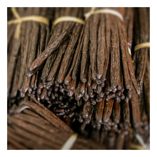  Heart & Harvest 20 Madagascar Extract Grade A Bourbon Vanilla Beans 4" to 5" image {8}