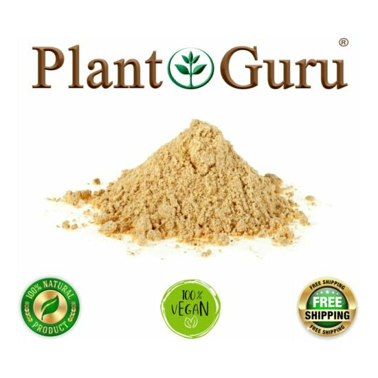 Fenugreek Seed Powder Non-GMO Trigonella Foenum Graecum Bulk Methi  image {8}