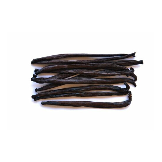 10 Extract Vanilla Beans Whole Pods Grade B 4.5~6 inches | Native Vanilla image {1}